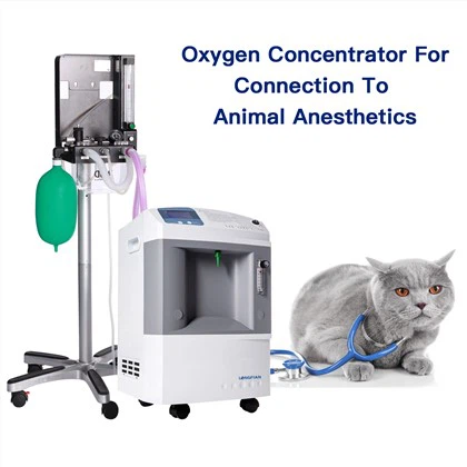 Veterinary Oxygen Machine For Anaesthesia
